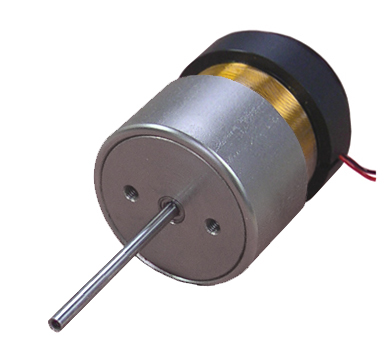 Linear Voice Coil Motor with Internal Bearing