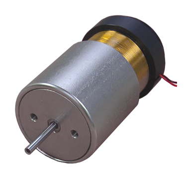 Linear Voice Coil Motor with Internal Bearing