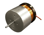 Linear Voice Coil Motor with Internal Bearing