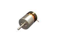 Linear Voice Coil Motor with Internal Bearing