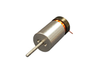 Linear Voice Coil Motor with Internal Bearing