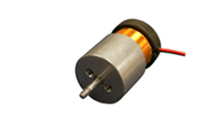 Linear Voice Coil Motor with Internal Bearing