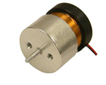 Linear Voice Coil Motor with Internal Bearing