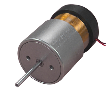 Linear Voice Coil Motor with Internal Bearing