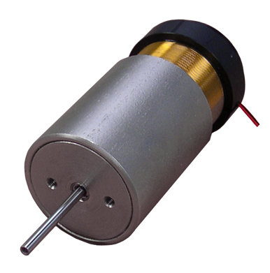 Linear Voice Coil Motor with Internal Bearing